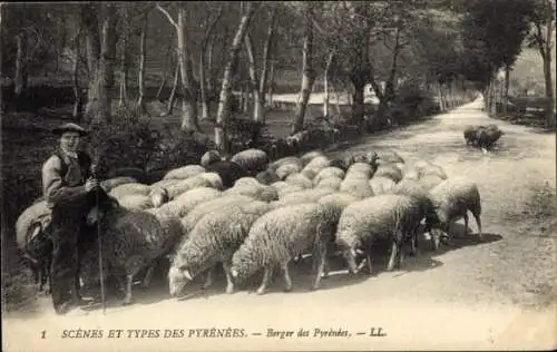 Ak Pyrenäen Frankreich, Hirte, Schafe