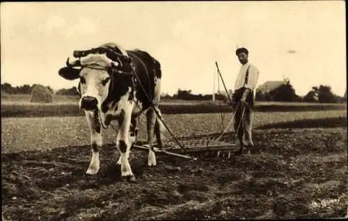 CPA Normandie, Herseur au travail