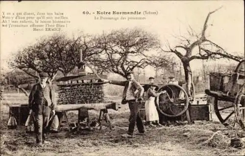 CPA Notre Normandie, Pressurage des pommes