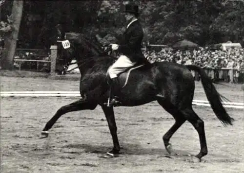 Ak Pferd Brilliant unter Willi Schultheis, Continental Farmer, Reklame