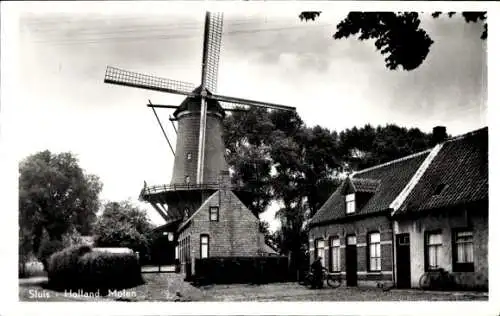 Ak Sluis Zeeland Niederlande, Mühle in  Häuser, Bäume, schwarz-weiß