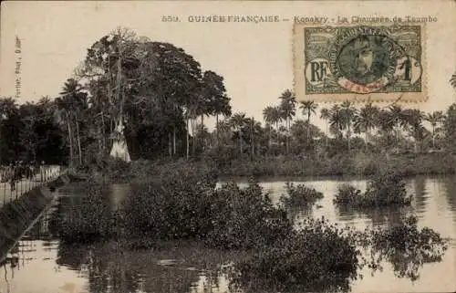 Ak Conakry Guinea, Chaussee de Toumbo