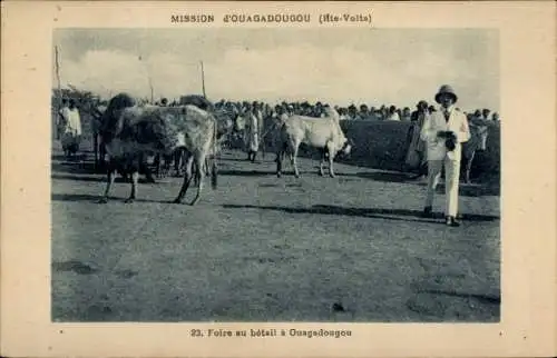 Ak Ouagadougou Burkina Faso, Fleitende Kühe, Marktbesucher, Mission d'Ougadougou, Foire au bétail