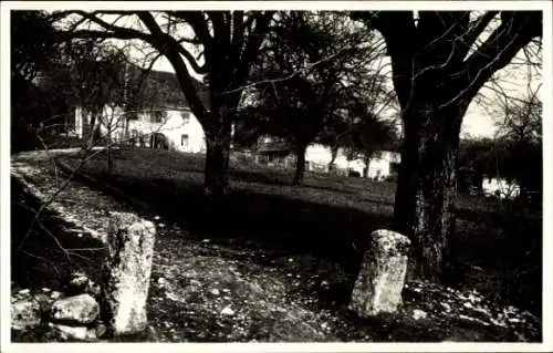 Ak Macolin sur Bienne Magglingen Kanton Bern, Schwarze und weiße Fotografie, Bäume, Weg, Gebäu...