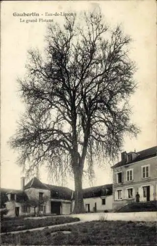 CPA Gaubertin Loiret, Eau de Limon, Le grand Platane