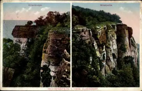 Ak Hessisch Oldendorf, Hohenstein, Hirschkuppe und Mittelpartie
