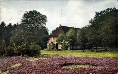 Ak Lüneburger Heide, Haus, Bäume, lila Blumenfeld, bewölkter Himmel