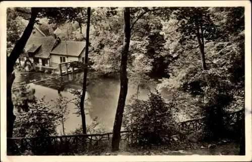 Ak Blaubeuren in Württemberg, Kleine Häuser, Wasserfläche, Bäume