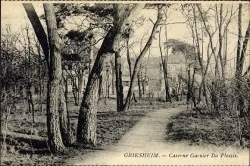 Ak Griesheim bei Darmstadt, Waldweg, Caserne Garnier Du Plessis, Bäume