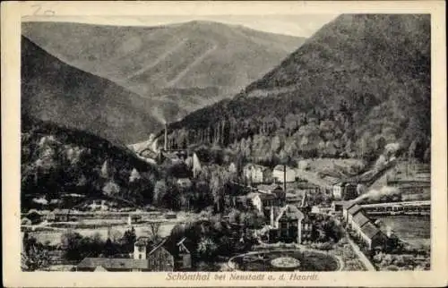 Ak Schönthal Neustadt an der Weinstraße, Totalansicht