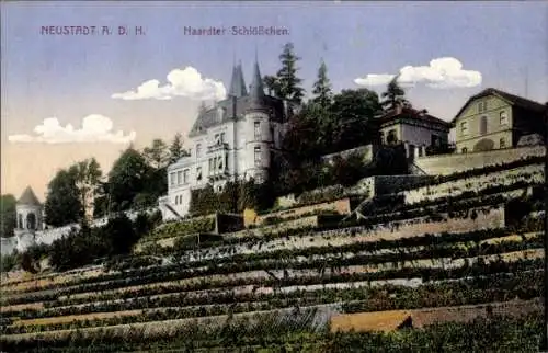 Ak Neustadt an der Weinstraße, Sehenswürdigkeit, Haardter Schlößchen, Weinberge, malerische Archi