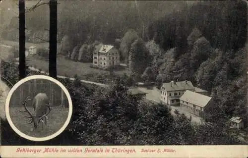Ak Gehlberg Suhl in Thüringen, Gehlberger Mühle