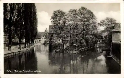 Ak Erfurt in Thüringen,  Blick zur Schildchenmühle, ruhiges Wasser, Bäume, Häuser, Brücke