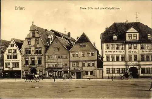 Ak Erfurt in Thüringen, Hohe Lilie und alte Giebelhäuser, BRUNE APOTHEE, HERMANN WINZER, HOTEL TH