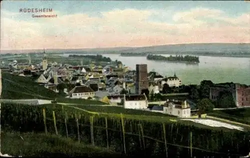 Ak Rüdesheim am Rhein, Panoramablick auf  Rheinlandschaft, Weinberge,  Gebäude