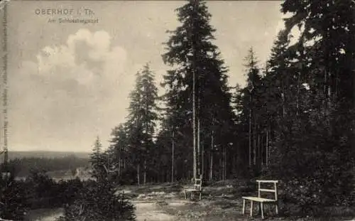 Ak Oberhof im Thüringer Wald, Am Schlossbergkopf