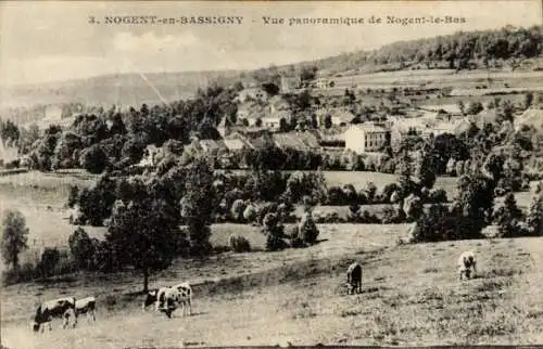 Ak Nogent en Bassigny Haute Marne, Vue panoramique de Nogent-le-Bas