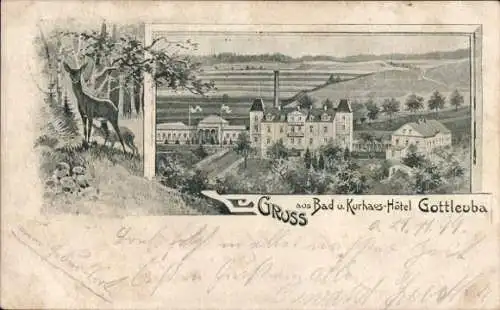 Litho Bad Gottleuba in Sachsen, Bad und Kurhaus-Hotel, Reh