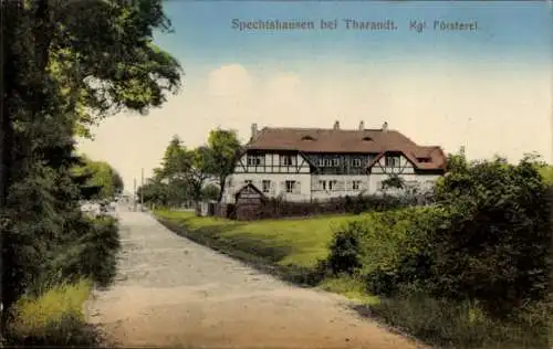 Ak Spechtshausen Hartha Hintergersdorf Tharandt im Erzgebirge, Kgl. Försterei