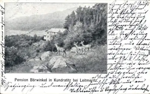 Ak Litoměřice Leitmeritz Region Aussig, Pension Bärwinkel, Landschaft mit Rehen, bewaldeter Hinte