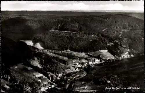 Ak Bad Rippoldsau Schapbach im Schwarzwald, Landschaftsansicht,  600 m ü. M., Wald, Felder, Fluss