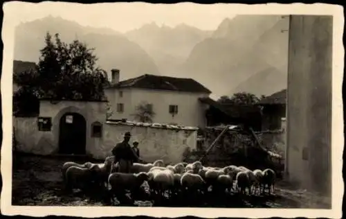 Ak Soglio Kt. Graubünden, Dorfplatz, Schafherde
