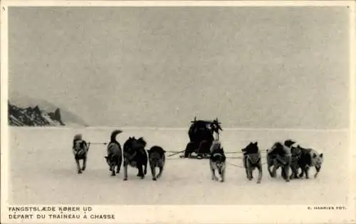Ak Grönland, Depart du Traineau a Chasse, Hundegespann