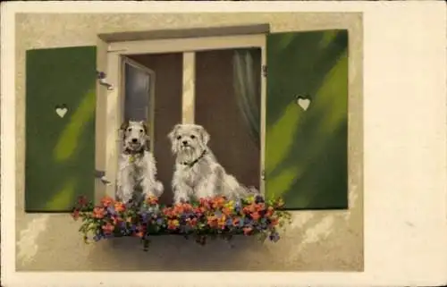 Ak Zwei Hunde, Portrait