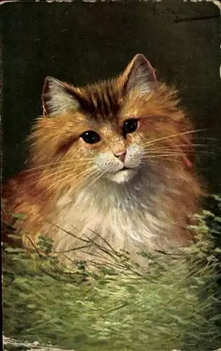 Künstler Ak Weiß-rote Katze, Gemaltes Porträt