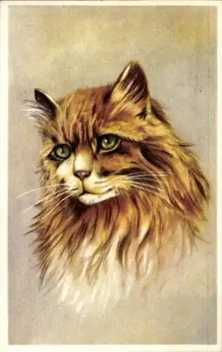 Künstler Ak Katzenportrait, langhaarige Katze