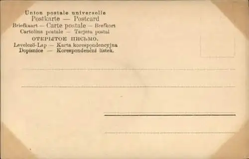 Ak Schriftsteller Leo Tolstoj im Rollstuhl, Lew Tolstoi, Portrait