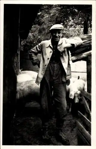 Foto Bauernhof, Schweinezucht