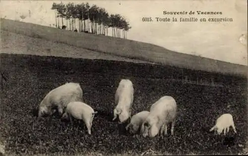 CPA Souvenir de Vacances, Toute la famille en excursion