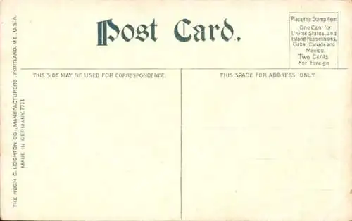 PC Florida USA, Pawpaw in Pineapple Field