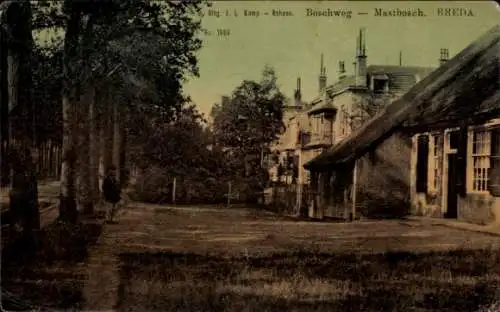 Ak Breda Nordbrabant Niederlande, bOSCHWEG