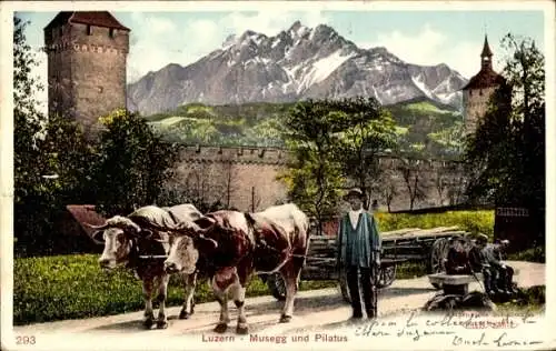 Ak Kanton Luzern Schweiz, Pilatus, Landschaft mit Kühen, Wagen, Museggmauer, Pilatus im Hinter...