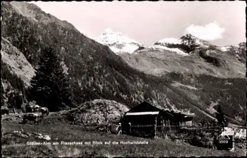 Ak Schladming Steiermark, Gfölleralm am Rissachsee, Hochwildstelle