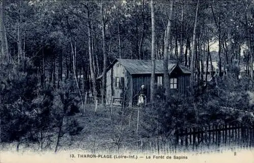 CPA Tharon Plage Loire Atlantique, La Forêt de Sapins