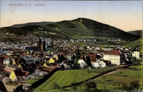 Ak Neustadt an der Haardt Neustadt an der Weinstraße, Gesamtansicht