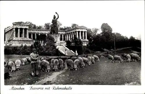 Ak München, Bavaria, Ruhmeshalle, Hirte mit Schafherde