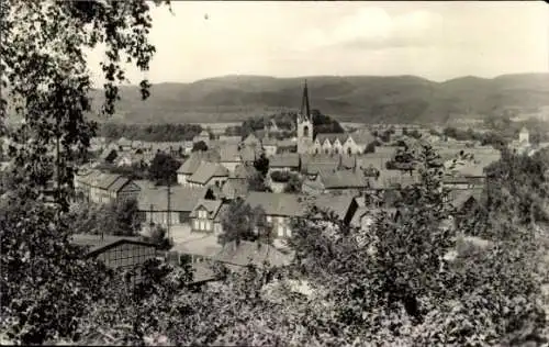Ak Ellrich Harz Thüringen, Panorama