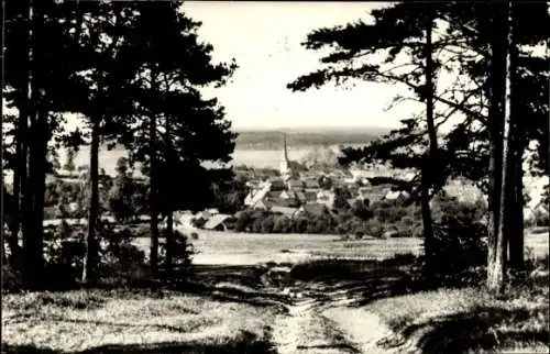 Ak Schönau vor dem Walde in Thüringen, Am Kirchstieg, Panorama