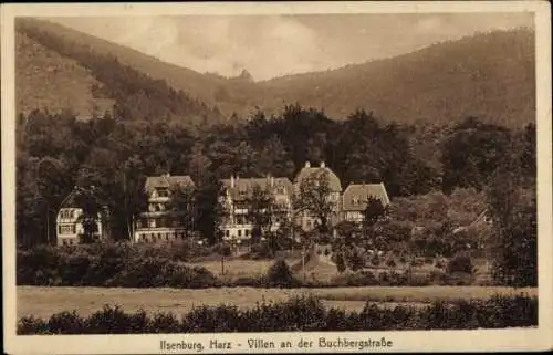 Ak Ilsenburg im Harz, Villen an der Buchbergstraße, grüne Umgebung,  Architektur