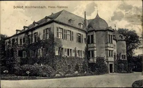 Ak Wächtersbach in Hessen, Schloss,  Architektur, begrünt, in schwarz-weiß