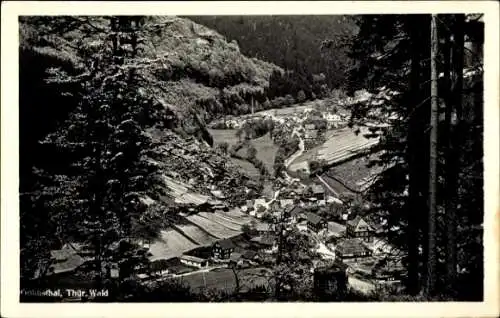Ak Goldisthal Thüringer Wald, Blick auf den Ort zwischen Bäumen hindurch