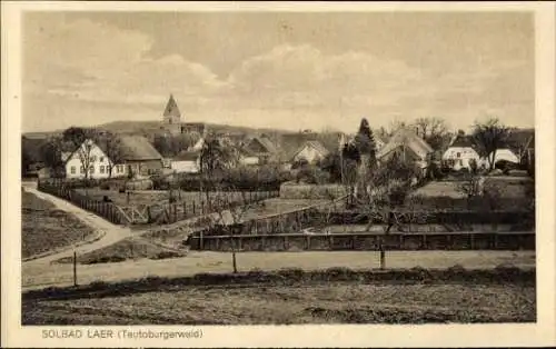 Ak Bad Laer am Teutoburger Wald, Panorama