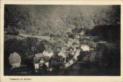 Ak Treseburg Thale im Harz, Berglandschaft, Dorfansicht, Häuser, Bäume