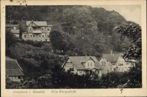 Ak Altenbrak Thale im Harz, Villa Bergeshöh, idyllische Landschaft,  Architektur
