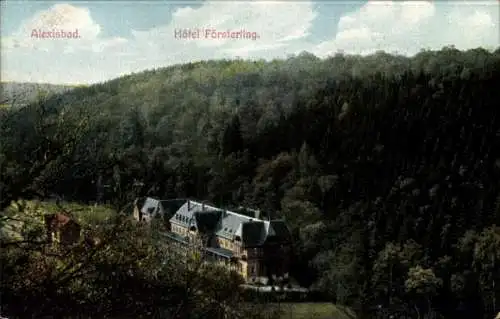 Ak Alexisbad Harzgerode am Harz, Hôtel Försterling, Waldlandschaft,  Architektur