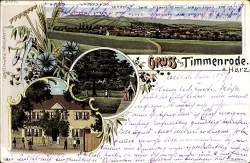 Litho Timmenrode Blankenburg am Harz, Gesamtansicht, Rittergut, Park